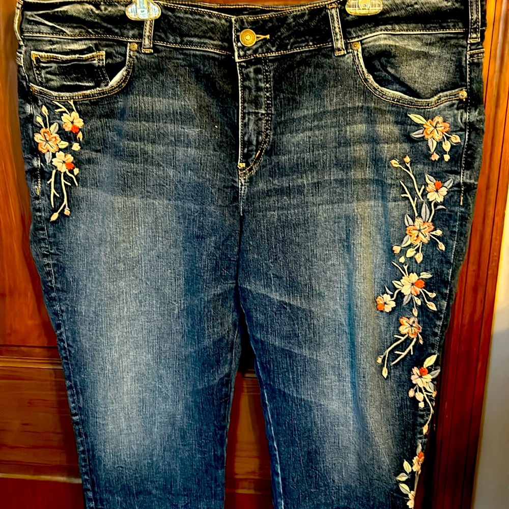 Silver Jeans, Elyse Skinny, Blue, size 22, L29, embroidered